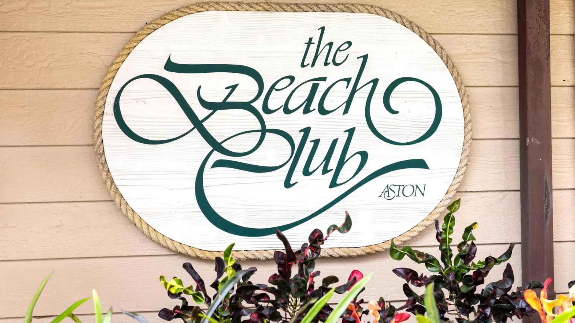 Kbm Resorts Free Car Kaanapali Shores Ks-260 Full Ocean View Beach Kid Amenities